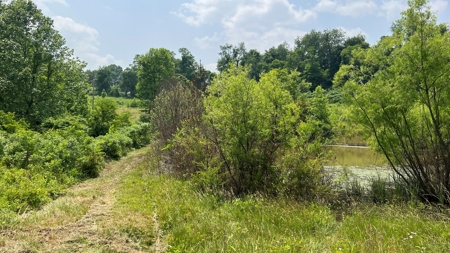 Vinton County Ohio Land for Sale - image 20