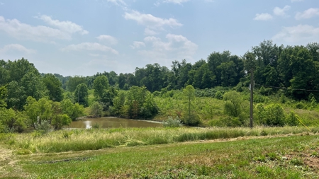 Vinton County Ohio Land for Sale - image 11