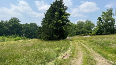 Vinton County Ohio Land for Sale - image 8