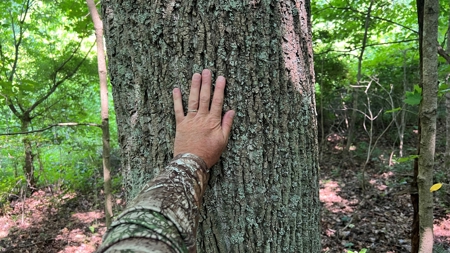 Vinton County Ohio Land for Sale - image 34