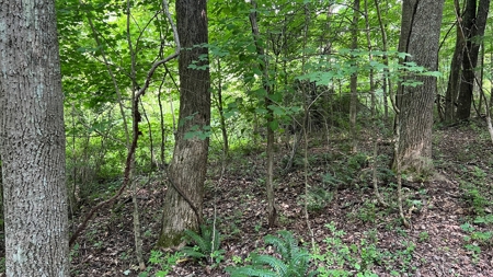 Vinton County Ohio Land for Sale - image 31