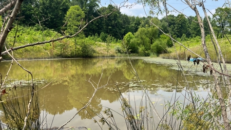 Vinton County Ohio Land for Sale - image 21
