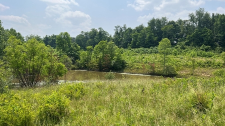 Vinton County Ohio Land for Sale - image 19