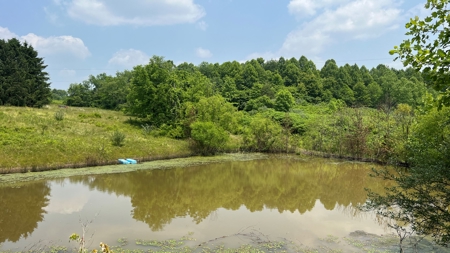 Vinton County Ohio Land for Sale - image 24