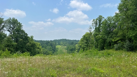 Vinton County Ohio Land for Sale - image 27