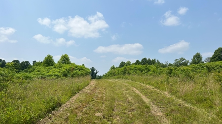 Vinton County Ohio Land for Sale - image 26
