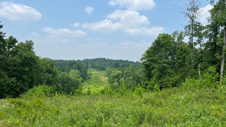 Vinton County Ohio Land for Sale - image 28