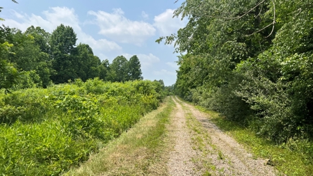 Vinton County Ohio Land for Sale - image 7