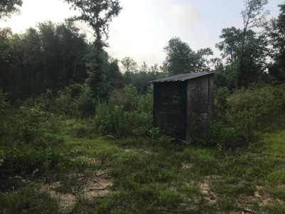 80 Acres Perry County, MS Hunting Land for Sale - image 14