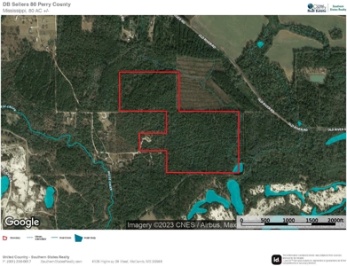 80 Acres Perry County, MS Hunting Land for Sale - image 24