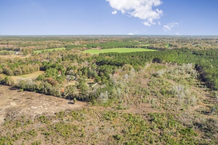 80 Acres Perry County, MS Hunting Land for Sale - image 31