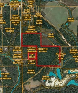 80 Acres Perry County, MS Hunting Land for Sale - image 7