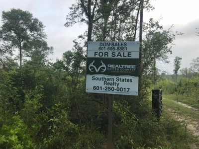 80 Acres Perry County, MS Hunting Land for Sale - image 11