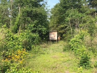 80 Acres Perry County, MS Hunting Land for Sale - image 3
