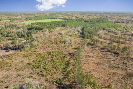 80 Acres Perry County, MS Hunting Land for Sale - image 34