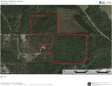 80 Acres Perry County, MS Hunting Land for Sale - image 23