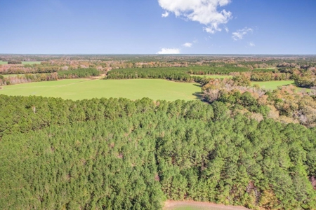 80 Acres Perry County, MS Hunting Land for Sale - image 32