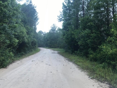 80 Acres Perry County, MS Hunting Land for Sale - image 9