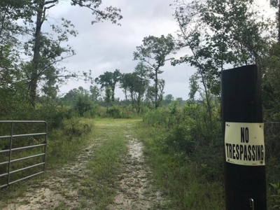80 Acres Perry County, MS Hunting Land for Sale - image 10