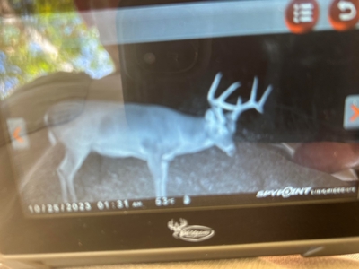 80 Acres Perry County, MS Hunting Land for Sale - image 28