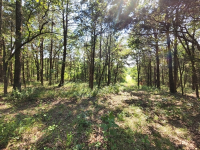 5 Acre Off-Grid Homestead Property - image 10