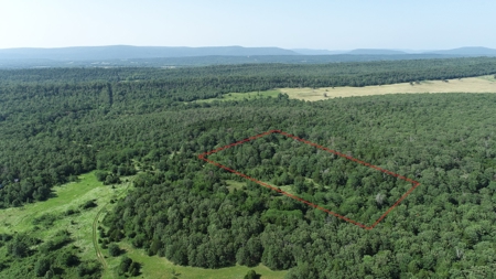 5 Acre Off-Grid Homestead Property - image 1