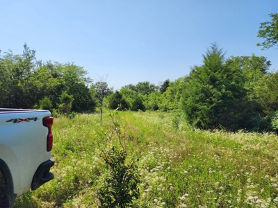 5 Acre Off-Grid Homestead Property - image 2
