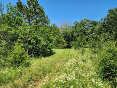 5 Acre Off-Grid Homestead Property - image 4