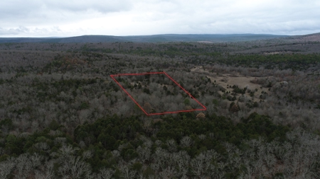 5 Acre Off-Grid Homestead Property - image 12