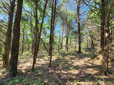 5 Acre Off-Grid Homestead Property - image 8