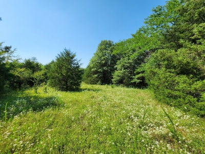 5 Acre Off-Grid Homestead Property - image 5