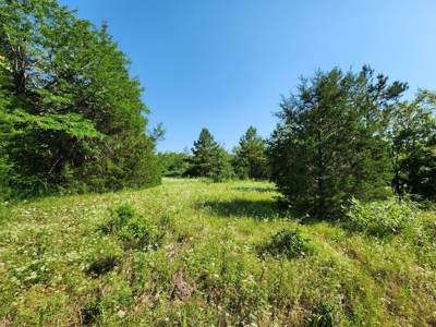 5 Acre Off-Grid Homestead Property - image 7