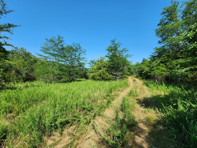 5 Acre Off-Grid Homestead Property - image 11