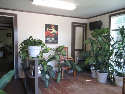 Bonham Tx Established Hair Salon - image 23