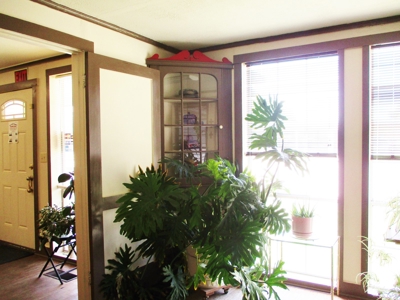 Bonham Tx Established Hair Salon - image 5