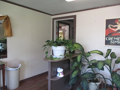 Bonham Tx Established Hair Salon - image 24