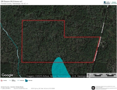 59 Acres Wooded Land for Sale Dixie Community Hattiesburg MS - image 23