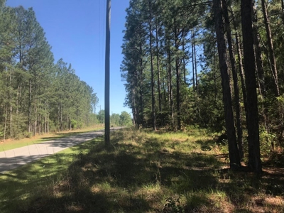 59 Acres Wooded Land for Sale Dixie Community Hattiesburg MS - image 2