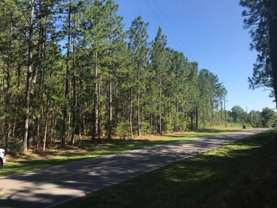 59 Acres Wooded Land for Sale Dixie Community Hattiesburg MS - image 20
