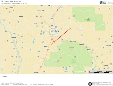 59 Acres Wooded Land for Sale Dixie Community Hattiesburg MS - image 21