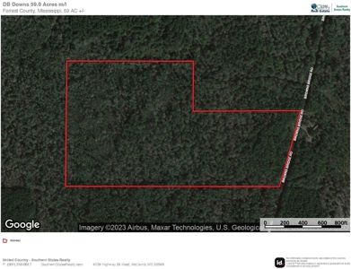 59 Acres Wooded Land for Sale Dixie Community Hattiesburg MS - image 22