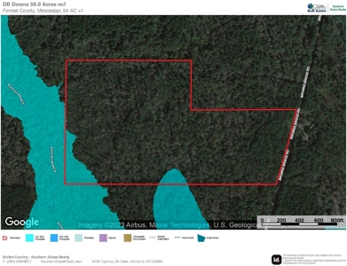 59 Acres Wooded Land for Sale Dixie Community Hattiesburg MS - image 24