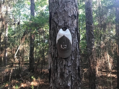 59 Acres Wooded Land for Sale Dixie Community Hattiesburg MS - image 13