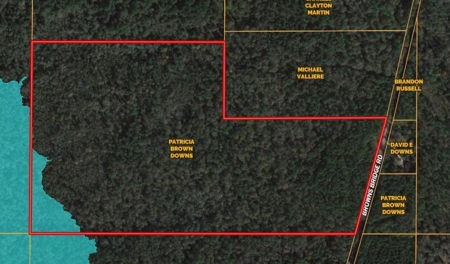 59 Acres Wooded Land for Sale Dixie Community Hattiesburg MS - image 7