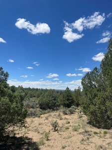Northern New Mexico Recreational Property - image 5