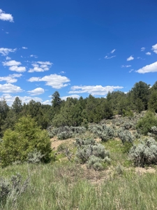 Northern New Mexico Recreational Property - image 2