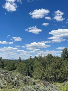 Northern New Mexico Recreational Property - image 1