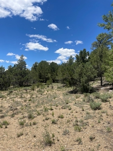 Northern New Mexico Recreational Property - image 3