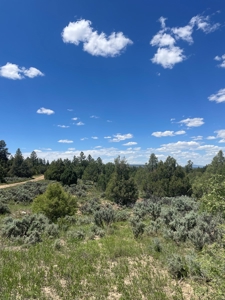 Northern New Mexico Recreational Property - image 6