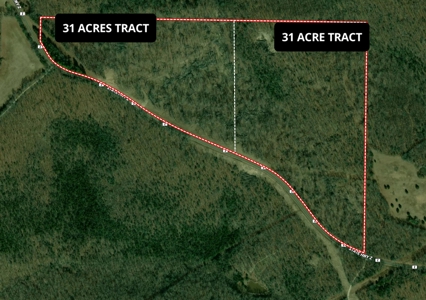 Unimproved Farmland for Sale in Belle, Missouri - image 6